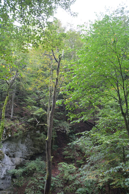 Durch den Naturpark Ötscher-Tormäuer ging's hinauf zum Einstieg der Ötscher-Tropfsteinhöhle.