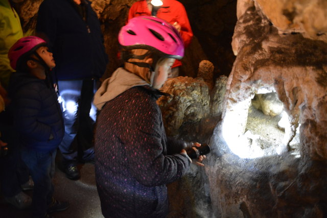 In der Ötscher-Tropfsteinhöhle erhält man faszinierende Einblicke in die Welt der Stalaktiten und Stalagmiten.