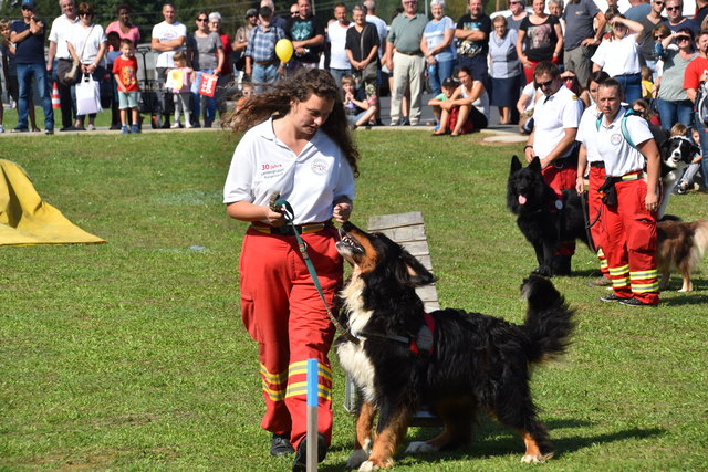 Die Vorführungen der Suchhunde stießen auf großes Interesse.