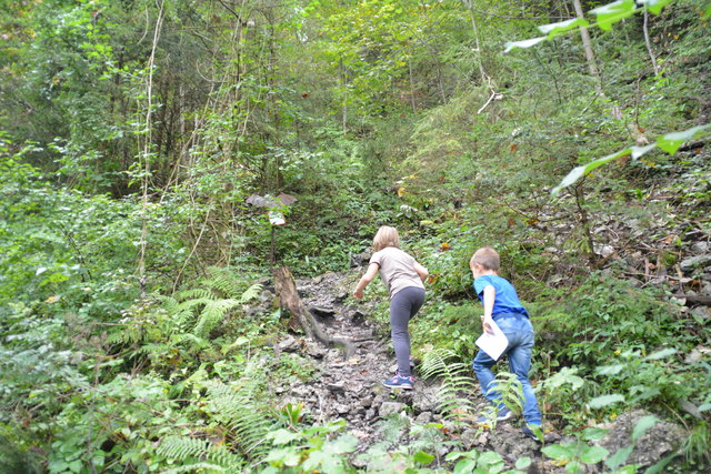 Durch den Naturpark Ötscher-Tormäuer ging's hinauf zum Einstieg der Ötscher-Tropfsteinhöhle.
