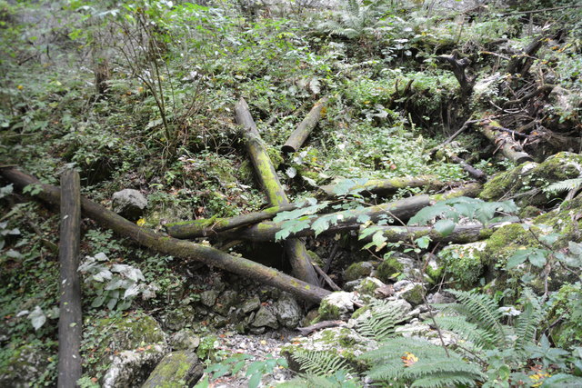 Durch den Naturpark Ötscher-Tormäuer ging's hinauf zum Einstieg der Ötscher-Tropfsteinhöhle.