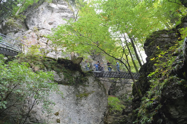 Durch den Naturpark Ötscher-Tormäuer ging's hinauf zum Einstieg der Ötscher-Tropfsteinhöhle.