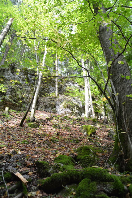 Durch den Naturpark Ötscher-Tormäuer ging's hinauf zum Einstieg der Ötscher-Tropfsteinhöhle.