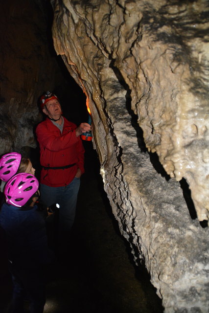 In der Ötscher-Tropfsteinhöhle erhält man faszinierende Einblicke in die Welt der Stalaktiten und Stalagmiten.