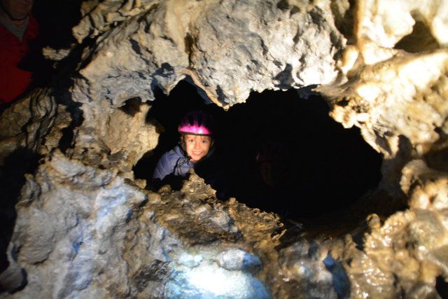 In der Ötscher-Tropfsteinhöhle erhält man faszinierende Einblicke in die Welt der Stalaktiten und Stalagmiten.