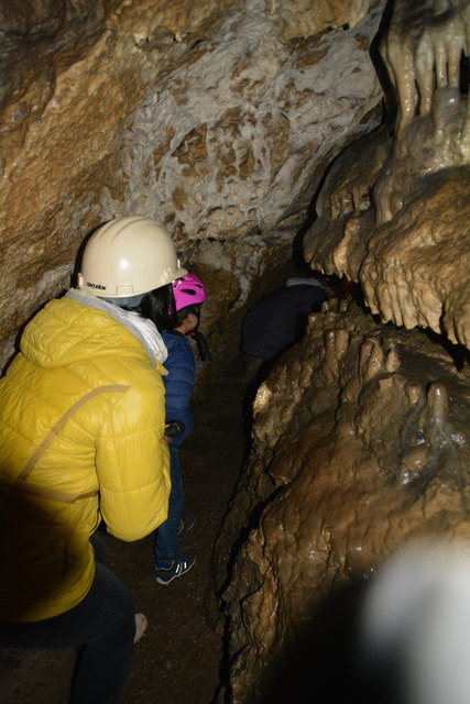 In der Ötscher-Tropfsteinhöhle erhält man faszinierende Einblicke in die Welt der Stalaktiten und Stalagmiten.