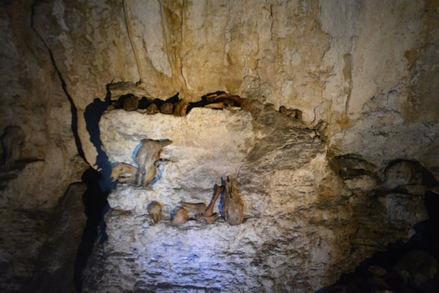 In der Ötscher-Tropfsteinhöhle erhält man faszinierende Einblicke in die Welt der Stalaktiten und Stalagmiten.