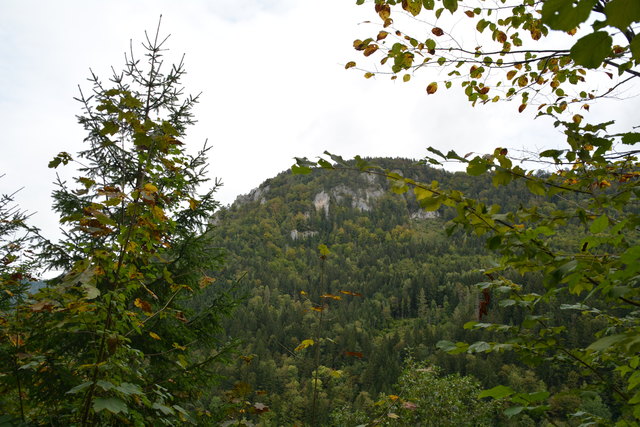 Durch den Naturpark Ötscher-Tormäuer ging's hinauf zum Einstieg der Ötscher-Tropfsteinhöhle.