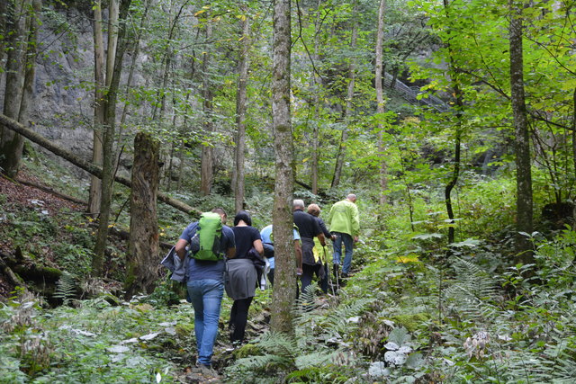 Durch den Naturpark Ötscher-Tormäuer ging's hinauf zum Einstieg der Ötscher-Tropfsteinhöhle.