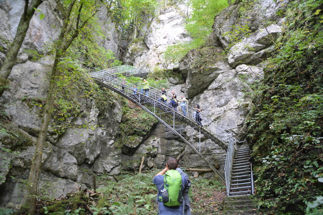 Durch den Naturpark Ötscher-Tormäuer ging's hinauf zum Einstieg der Ötscher-Tropfsteinhöhle.
