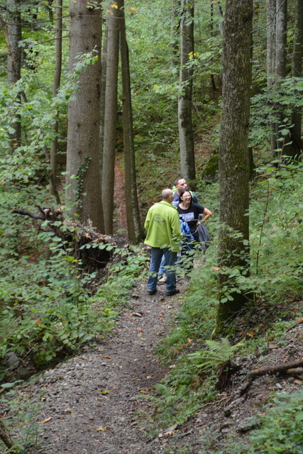 Durch den Naturpark Ötscher-Tormäuer ging's hinauf zum Einstieg der Ötscher-Tropfsteinhöhle.