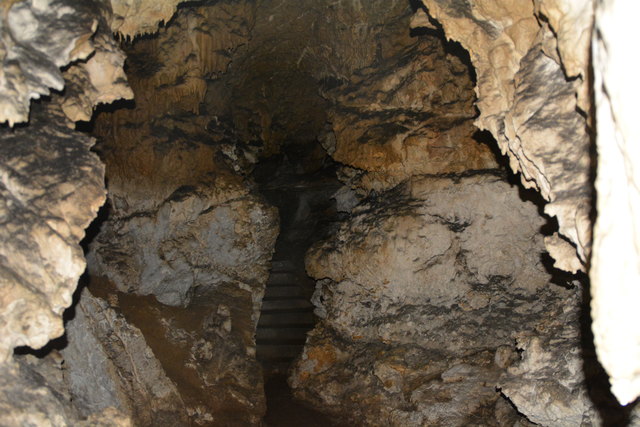 In der Ötscher-Tropfsteinhöhle erhält man faszinierende Einblicke in die Welt der Stalaktiten und Stalagmiten.