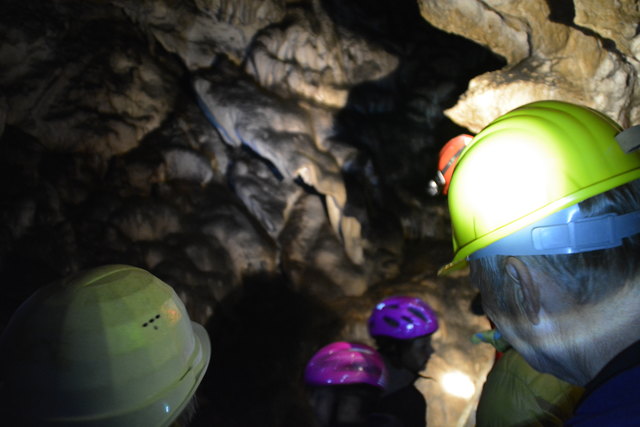 In der Ötscher-Tropfsteinhöhle erhält man faszinierende Einblicke in die Welt der Stalaktiten und Stalagmiten.