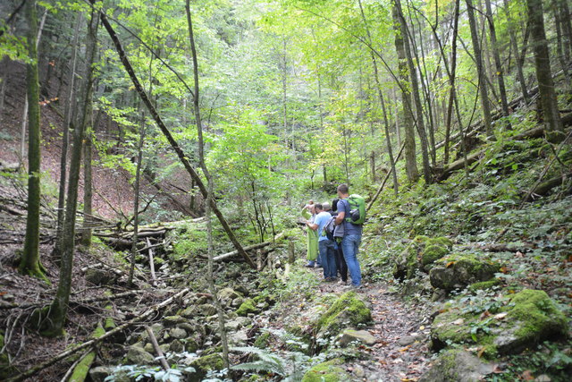 Durch den Naturpark Ötscher-Tormäuer ging's hinauf zum Einstieg der Ötscher-Tropfsteinhöhle.