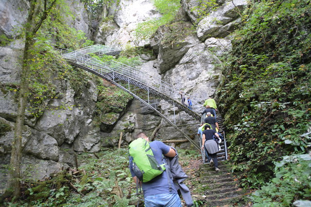 Durch den Naturpark Ötscher-Tormäuer ging's hinauf zum Einstieg der Ötscher-Tropfsteinhöhle.