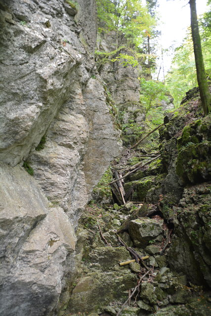 Durch den Naturpark Ötscher-Tormäuer ging's hinauf zum Einstieg der Ötscher-Tropfsteinhöhle.