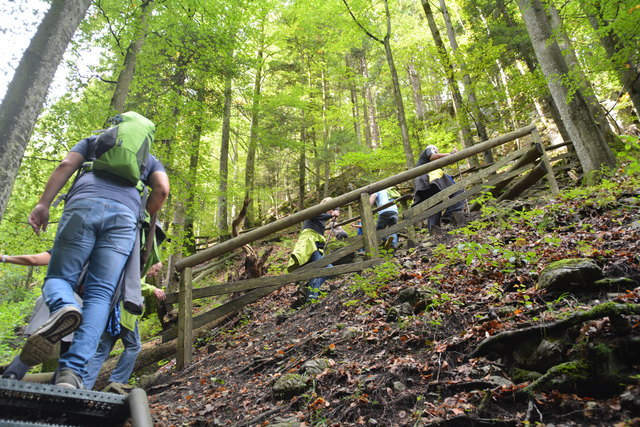 Durch den Naturpark Ötscher-Tormäuer ging's hinauf zum Einstieg der Ötscher-Tropfsteinhöhle.
