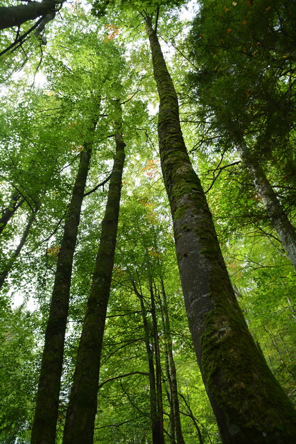 Durch den Naturpark Ötscher-Tormäuer ging's hinauf zum Einstieg der Ötscher-Tropfsteinhöhle.