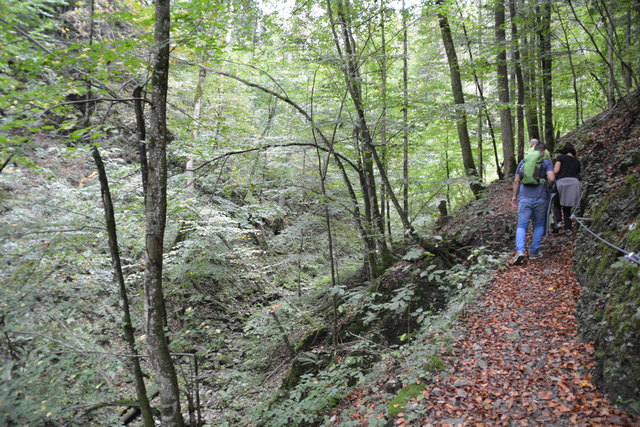 Durch den Naturpark Ötscher-Tormäuer ging's hinauf zum Einstieg der Ötscher-Tropfsteinhöhle.