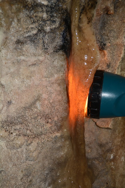 In der Ötscher-Tropfsteinhöhle erhält man faszinierende Einblicke in die Welt der Stalaktiten und Stalagmiten.
