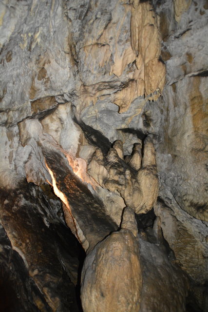 In der Ötscher-Tropfsteinhöhle erhält man faszinierende Einblicke in die Welt der Stalaktiten und Stalagmiten.