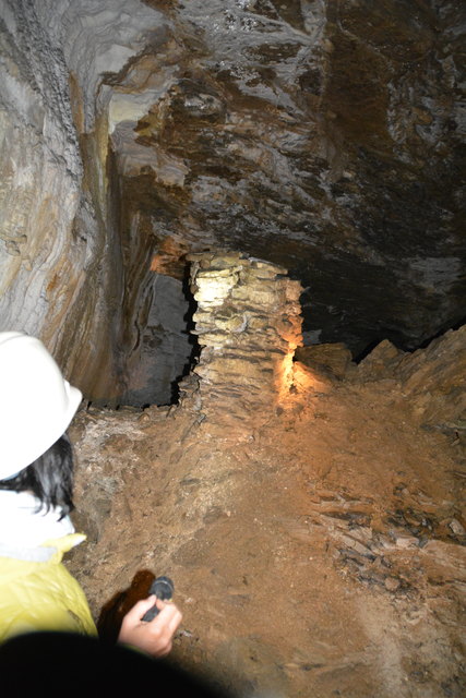 In der Ötscher-Tropfsteinhöhle erhält man faszinierende Einblicke in die Welt der Stalaktiten und Stalagmiten.