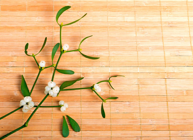 Die Mistel unterstützt Betroffene im Kampf gegen Krebs. | Foto: Dreadlock / Fotolia