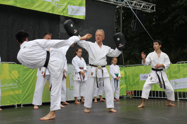 Jede Art von Kampfsport gab es beim Trendsporttag