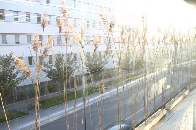 Natur schafft Land: Künstler schaffen Landschaft im Galerieraum - Flachgau