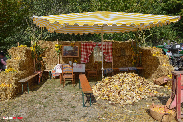 Von 11 bis 17 Uhr wird in der Bahnhofstraße in Wies wieder so wie früher gefeiert. Kulinarische Köstlichkeiten aus Omas Kochbuch, Vorführungen von fast vergessenen Handwerk umrahmt von echter Volksmusik! Das Fest  "WIE’S amol woar" - nimmt Dich mit auf eine Reise in die Vergangenheit!