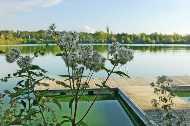 Steg in der Badezone am See