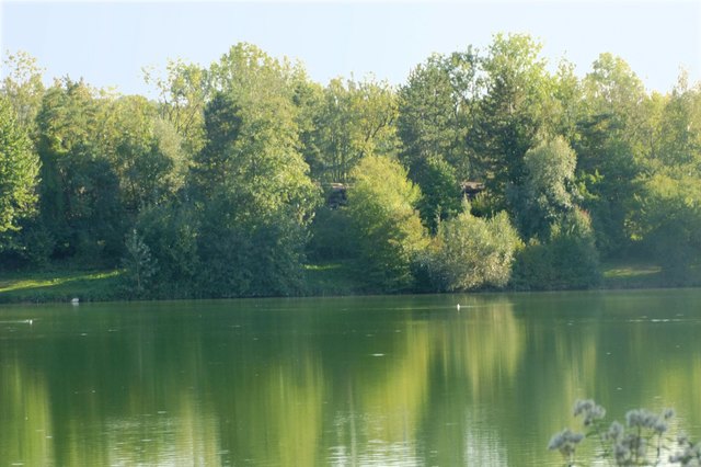 Einige Enten genießen die Ruhe am See
