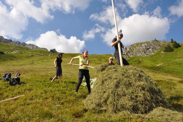 Eine Sommerwoche lang halfen elf junge von der Natur begeisterte Menschen aus Österreich, Deutschland und Ungarn auf einer Umweltbaustelle im Zederhauser Naturpark Riedingtal im Rahmen eines Beweidungsprojektes mit. | Foto: Naturpark Riedingtal