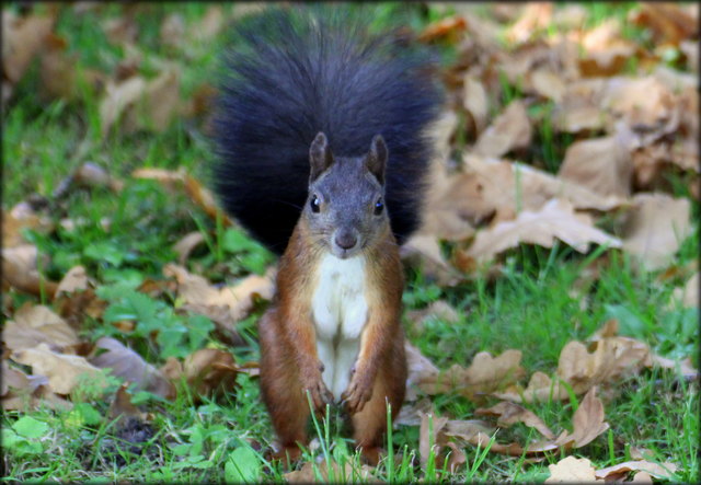 ....bist du die Tasche aufmachst