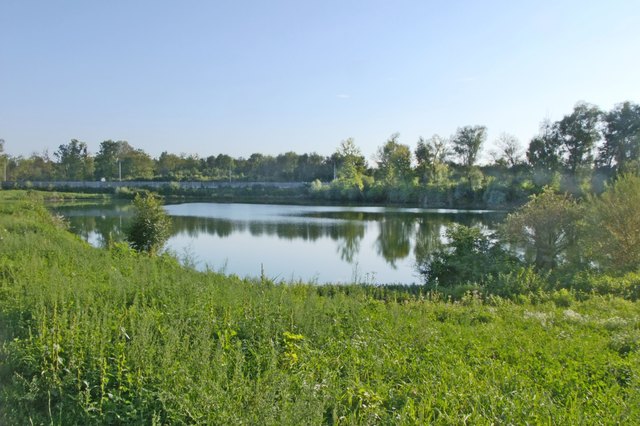 Teich für Angler