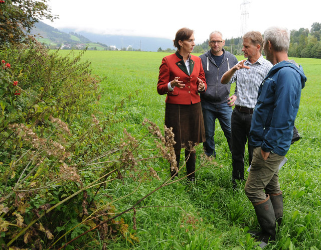 Biodiversität: Landesrätin Maria Hutter,  Bio Austria Berater Markus Danner, Biobauer Ernst Moßhammer und Andreas Schwaighofer (Bio Austria GF). | Foto: Wolfgang Dürnberger
