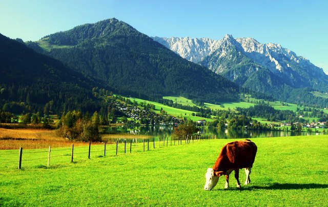... WALCHSEE