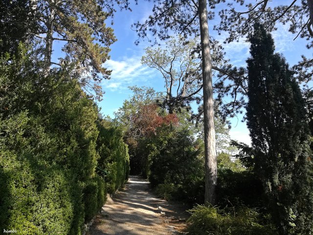 Wunderschöne Wege führen durch den Park