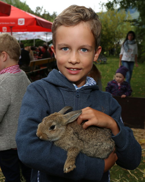 Tiere zum streicheln.