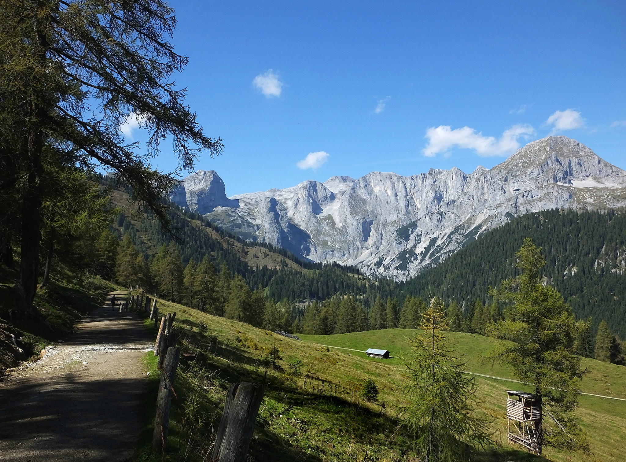 Auf der Karalm in St. Martin am Tennengebirge Tennengau