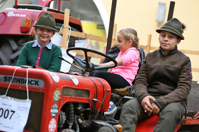 Foto: Wolfgang Spitzbart