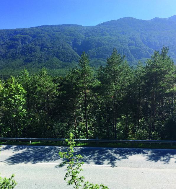 Das Waldstück in Dollinger-Lager, zwischen Tarrenz und Nassereith, wo die Archäologen der Universität Innsbruck ein Heiligtum der Latène- bzw. Römerzeit annehmen. | Foto: Via Claudia Augusta