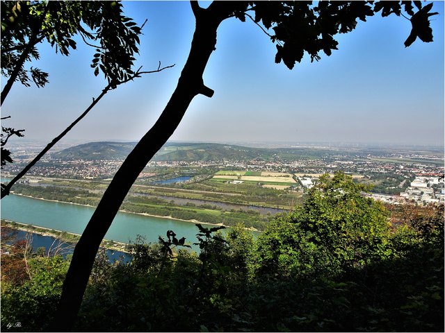 Unsere schöne Donau davor ein Stückchen von der Kuchelau