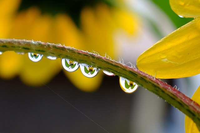 Schönen Sonntag, trotz Regen!