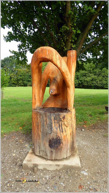 Holzbrunen auf den Steinhofgründen