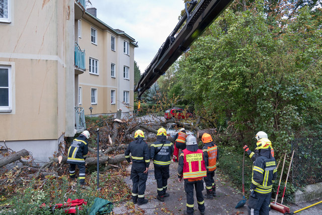 Foto: BFK BADEN / Stefan Schneider﻿