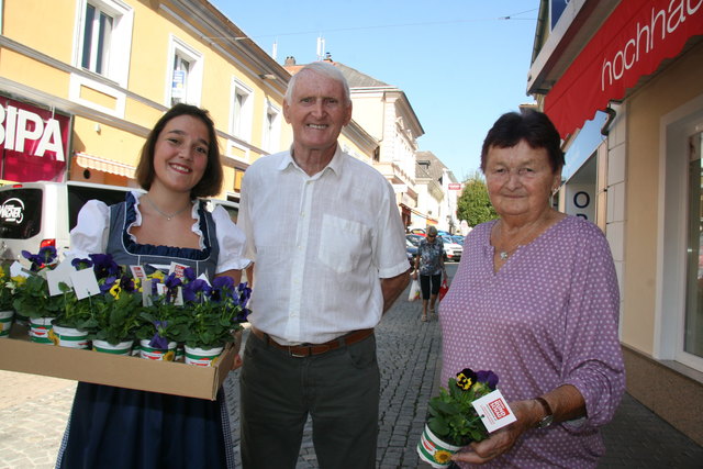 Reinfried Herbst Thema auf meinbezirk.at