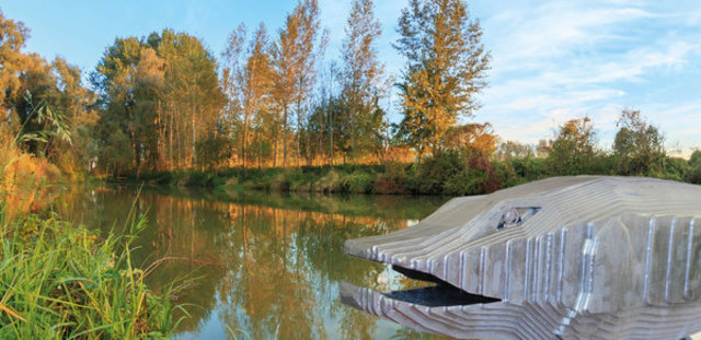 Aulehrpfad (Naarn) | Foto: Michael Zobl