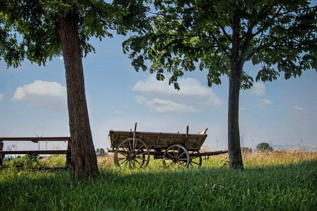 Romantische Plätze für ein Stelldichein findet man im Weinviertel mehr als genug. Zwischen den Weinreben oder im Kornfeld. | Foto: Courtier