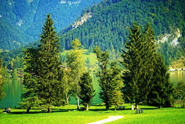 am WALCHSEE